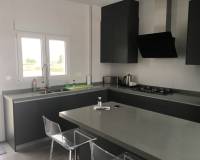 Nieuw gebouw - Villa - Pinoso - 