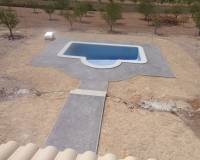 Nieuw gebouw - Villa - Pinoso - 