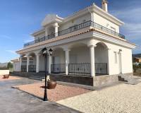 Nieuw gebouw - Villa - Pinoso - 