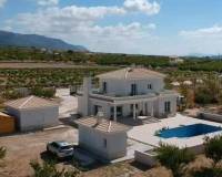 Nieuw gebouw - Villa - Pinoso - 