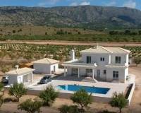 Nieuw gebouw - Villa - Pinoso - 