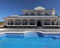 Nieuw gebouw - Villa - Pinoso - 