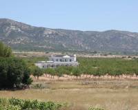 Nieuw gebouw - Villa - Pinoso - 