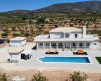 Nieuw gebouw - Villa - Pinoso - 