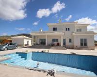 Nieuw gebouw - Villa - Pinoso - 