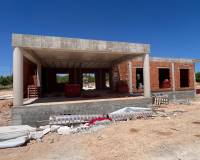 Nieuw gebouw - Villa - Pinoso - 