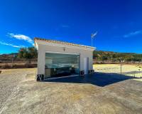 Nieuw gebouw - Villa - Pinoso - 