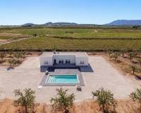 Nieuw gebouw - Villa - Pinoso - 