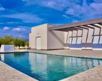 Nieuw gebouw - Villa - Pinoso - 