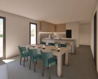 Nieuw gebouw - Villa - Pinoso - 