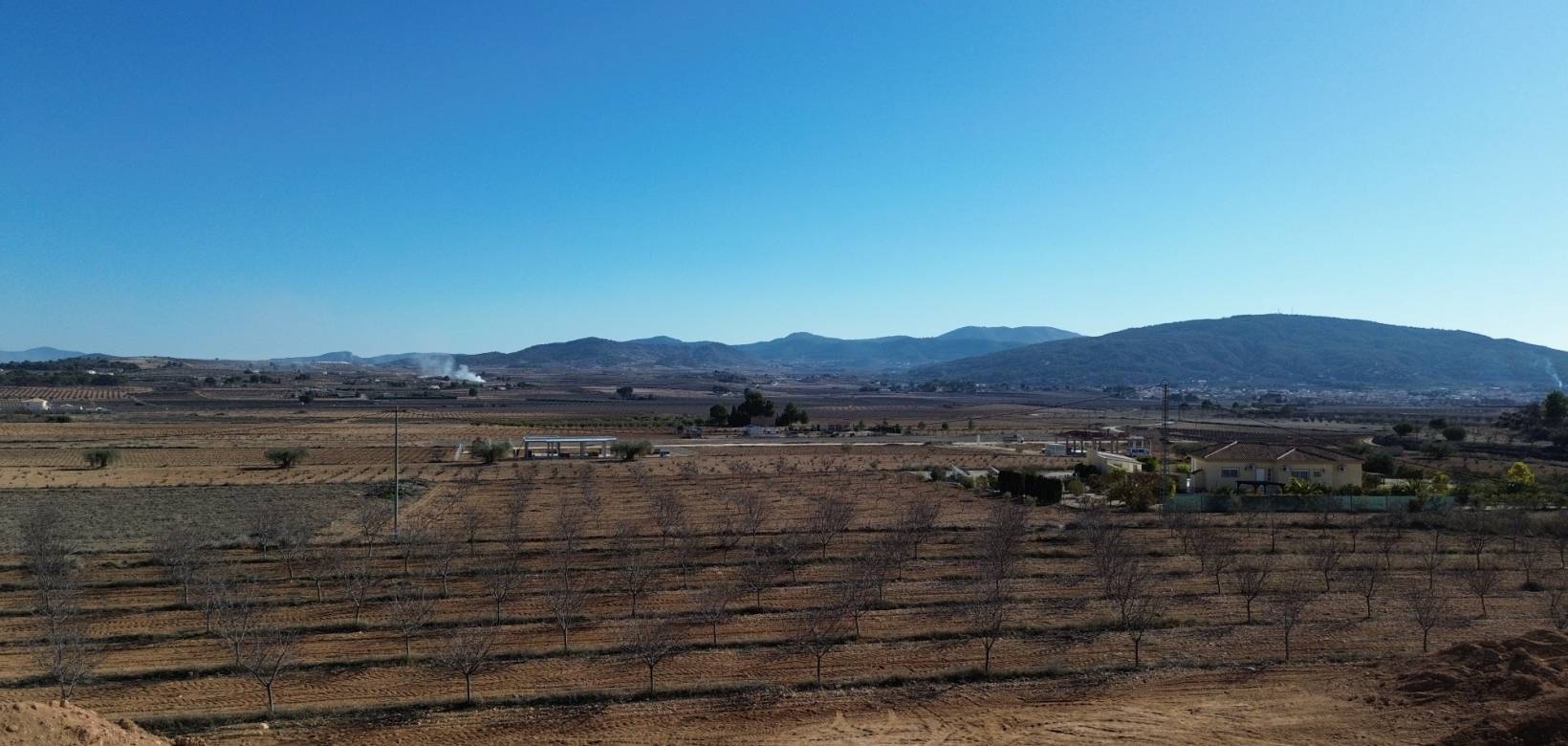 Nieuw gebouw - Vrijstaande villa - Pinoso - 