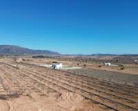 Nieuw gebouw - Vrijstaande villa - Pinoso - 