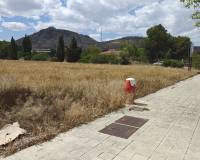 Nouvelle construction - Plot / Land - Aspe