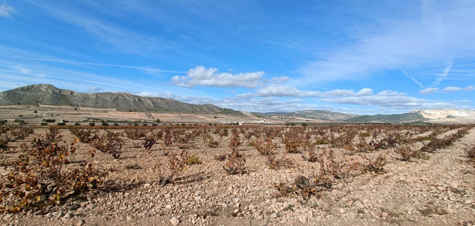 Nouvelle construction - Villa - Cañada de la Leña