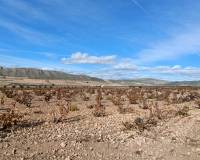 Nouvelle construction - Villa - Cañada de la Leña