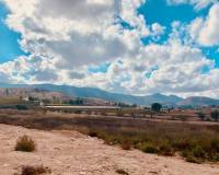 Nouvelle construction - Villa - Hondón de las Nieves