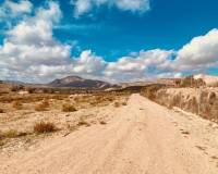 Nouvelle construction - Villa - Hondón de las Nieves