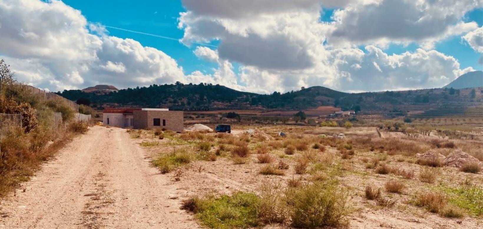 Nouvelle construction - Villa - Hondón de las Nieves