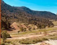 Nouvelle construction - Villa - Hondón de las Nieves