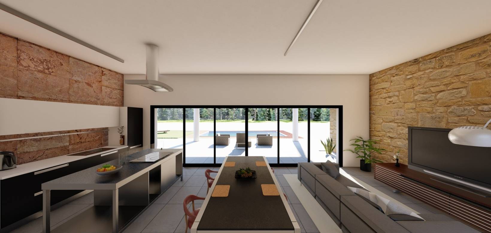 Nouvelle construction - Villa individuelle - Pinoso  - Pinoso