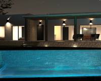 Nouvelle construction - Villa individuelle - Pinoso  - Pinoso