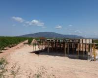 Nouvelle construction - Villa individuelle - Pinoso  - Pinoso