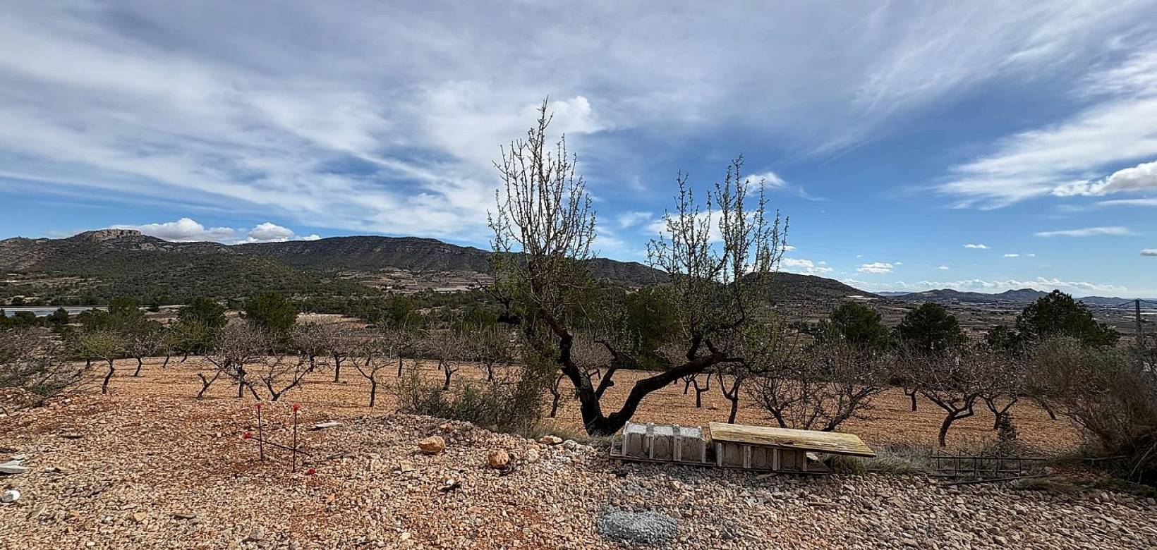 Nouvelle construction - Villa - La Romana