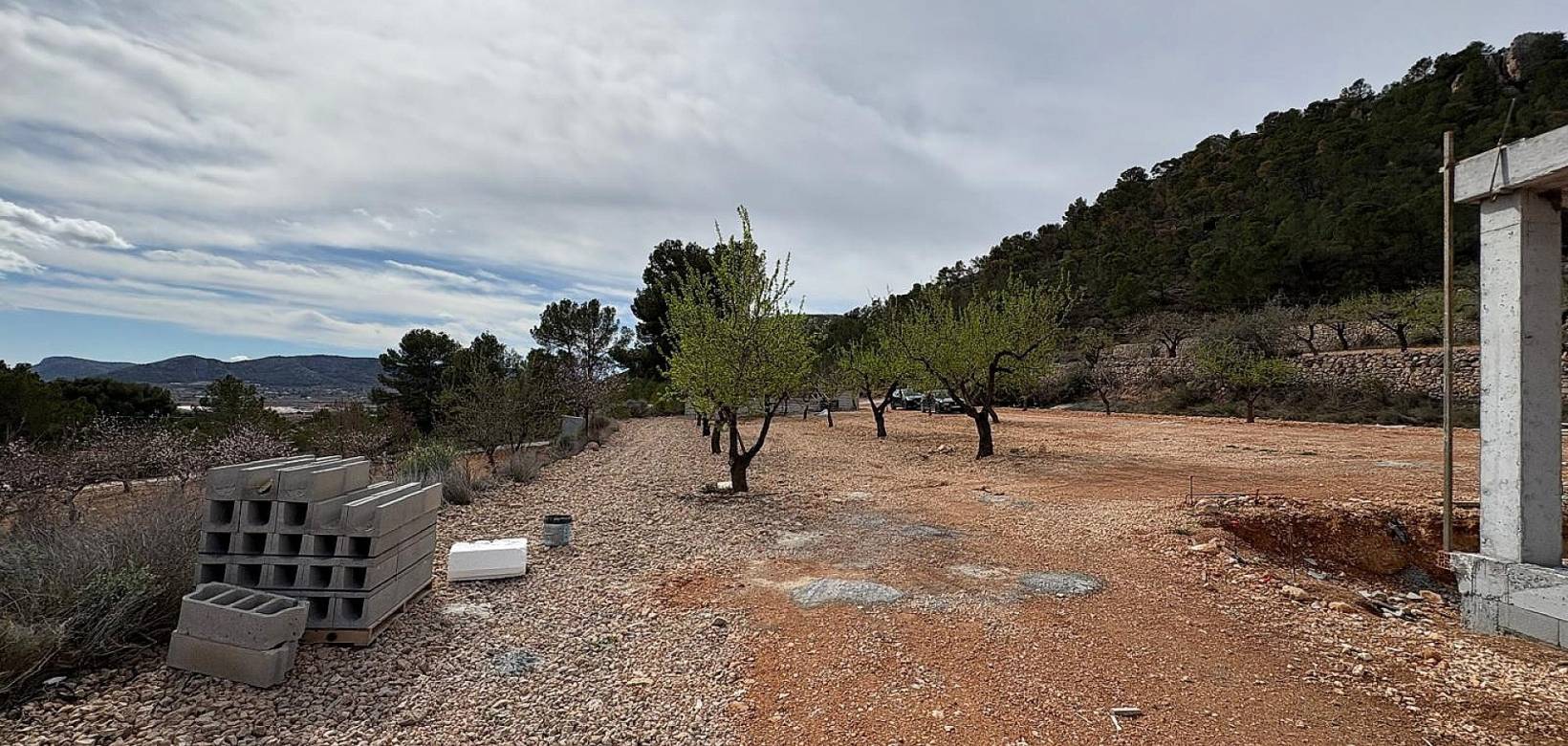 Nouvelle construction - Villa - La Romana