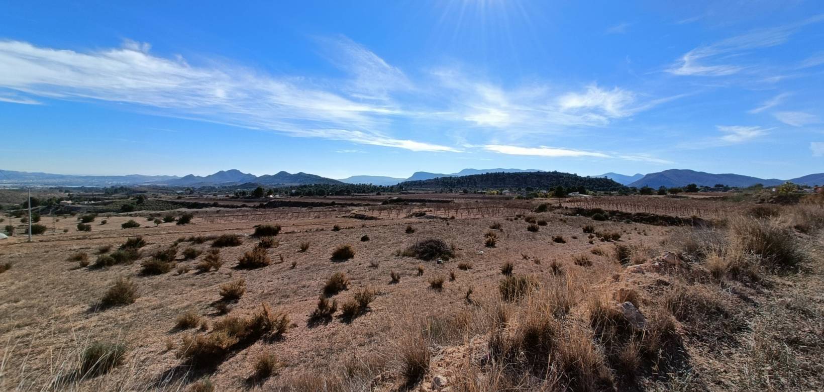 Nouvelle construction - Villa - La Romana