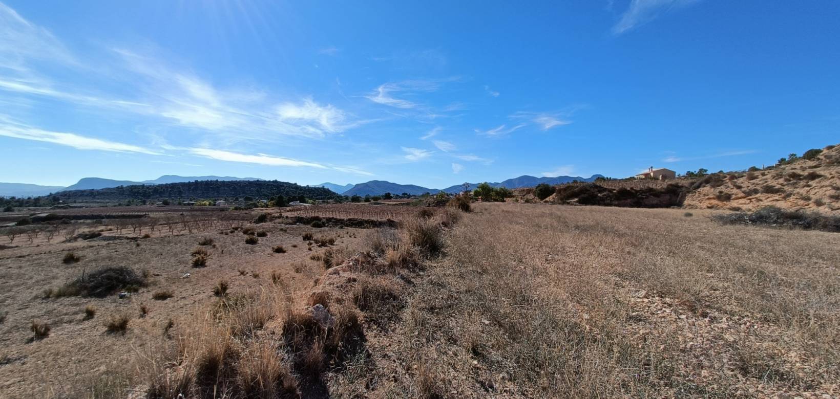 Nouvelle construction - Villa - La Romana