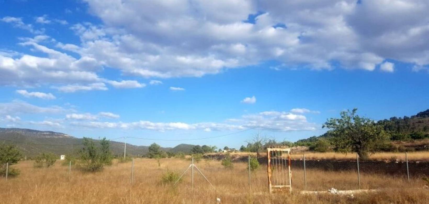 Nouvelle construction - Villa - Monovar