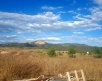 Nouvelle construction - Villa - Monovar