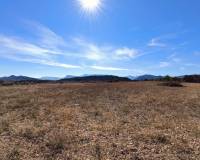 Nouvelle construction - Villa - Novelda