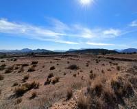 Nouvelle construction - Villa - Novelda