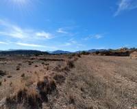 Nouvelle construction - Villa - Novelda