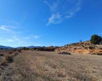 Nouvelle construction - Villa - Novelda