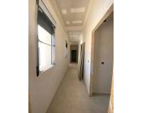 Nouvelle construction - Villa - Pinoso  - Caballusa