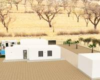 Nouvelle construction - Villa - Pinoso  - Pinoso