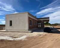 Nouvelle construction - Villa - Pinoso  - Pinoso