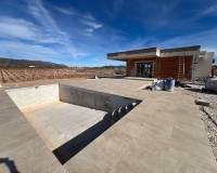 Nouvelle construction - Villa - Pinoso  - Pinoso