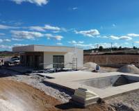 Nouvelle construction - Villa - Pinoso  - Pinoso