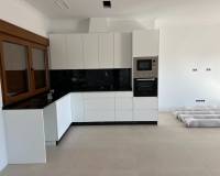 Nouvelle construction - Villa - Pinoso  - Pinoso