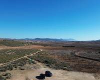 Nouvelle construction - Villa - Pinoso  - Pinoso