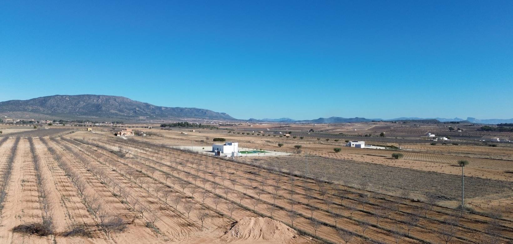 Nouvelle construction - Villa - Pinoso  - Pinoso