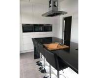 Nouvelle construction - Villa - Pinoso  - Pinoso