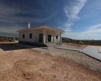Nouvelle construction - Villa - Pinoso  - Pinoso