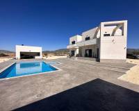 Nouvelle construction - Villa - Pinoso  - Pinoso