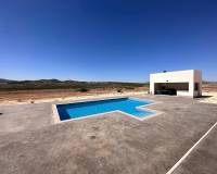 Nouvelle construction - Villa - Pinoso  - Pinoso