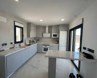 Nouvelle construction - Villa - Pinoso  - Pinoso