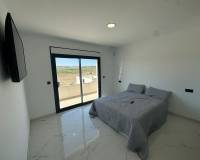 Nouvelle construction - Villa - Pinoso  - Pinoso